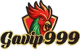 vngavip999.com Logo